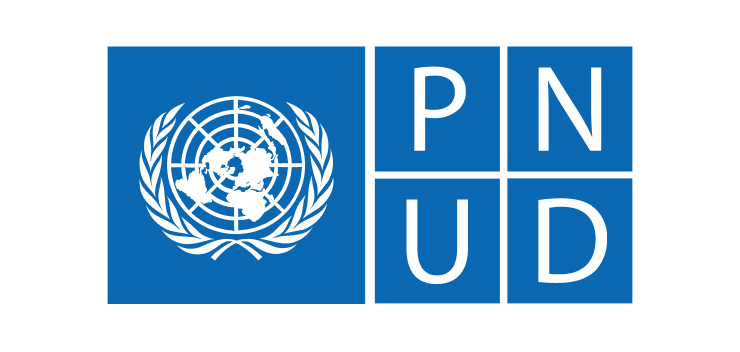 Programa de las Naciones Unidas para el Desarrollo